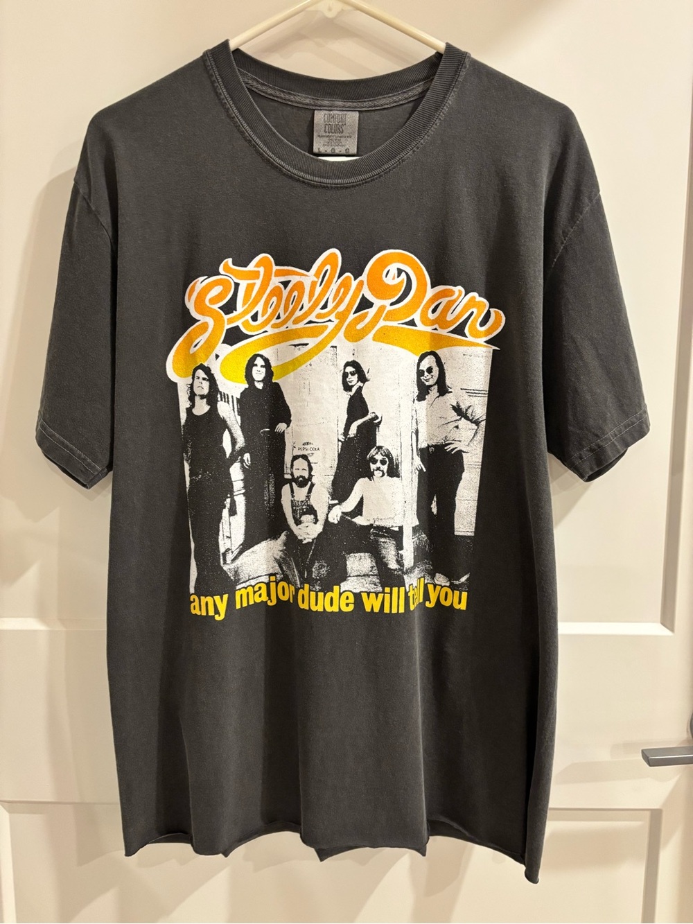 Steely Dan t-shirt, men’s size L *cropped hem*